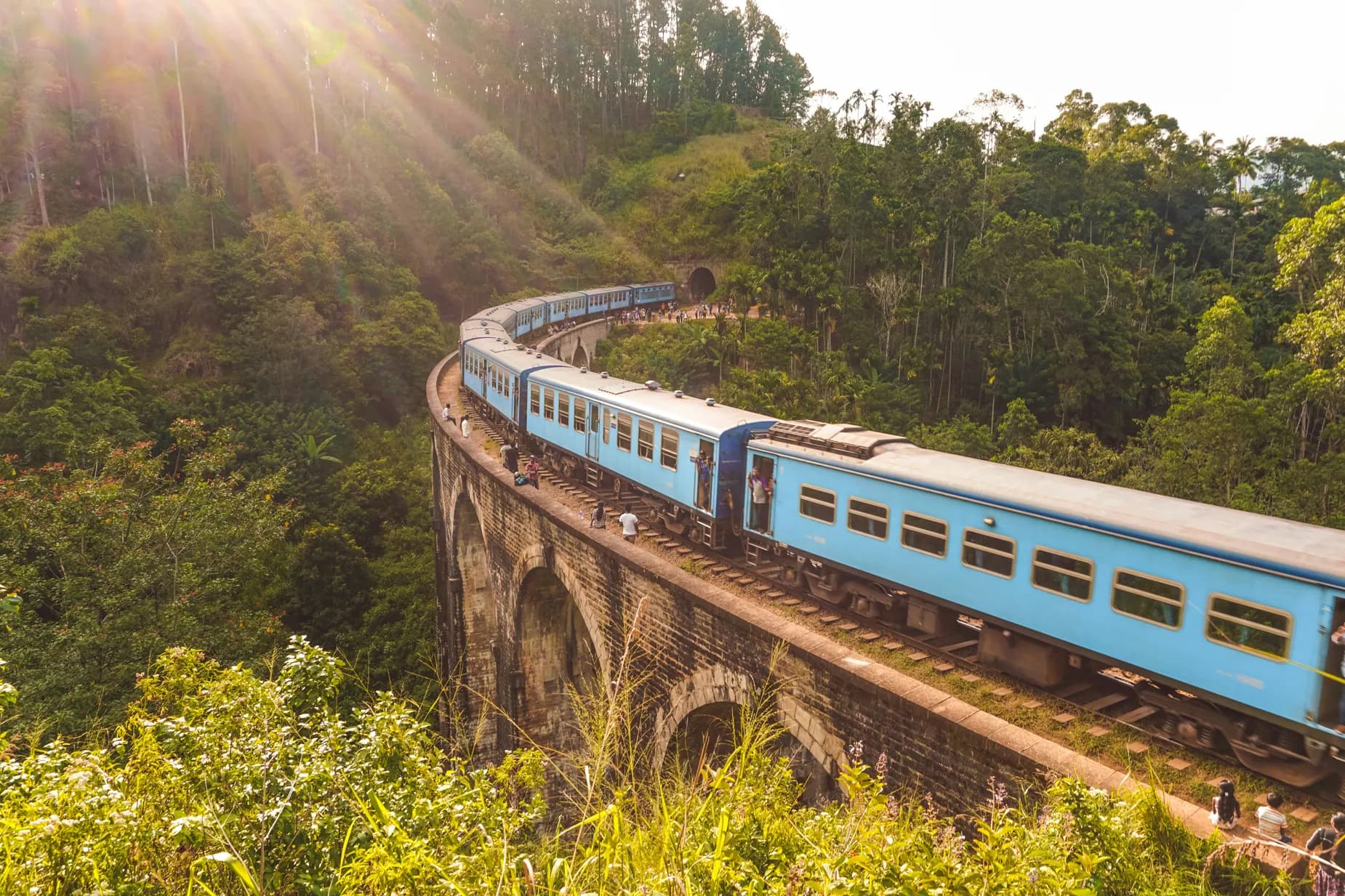 The Train Through Tea Country