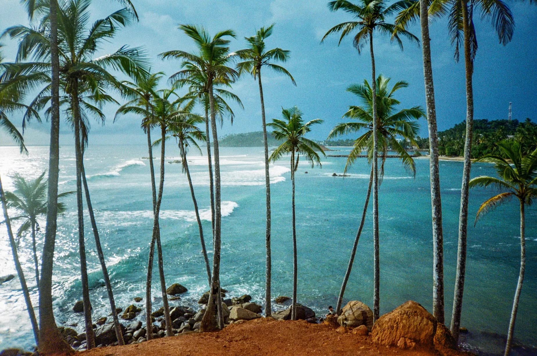 Mirissa (Coconut Tree Hill & Whale Bay)