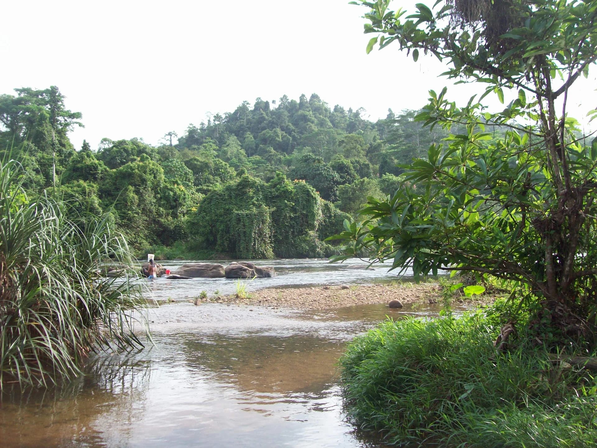 Kitulgala
