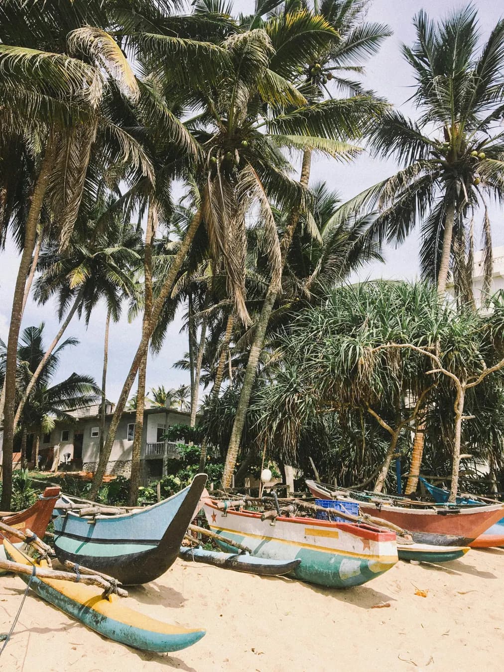 A Slower Island Rhythm