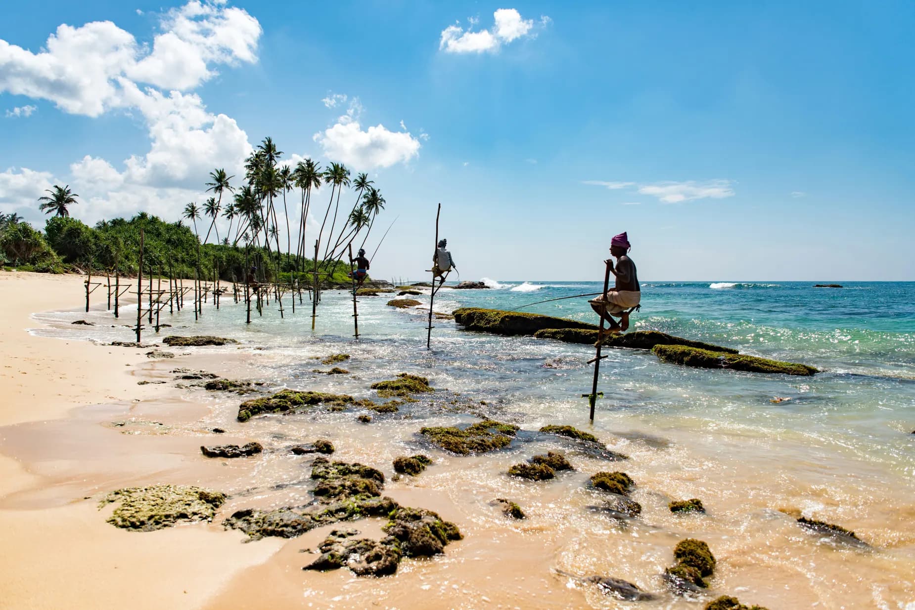 Weligama & Stilt Fishermen